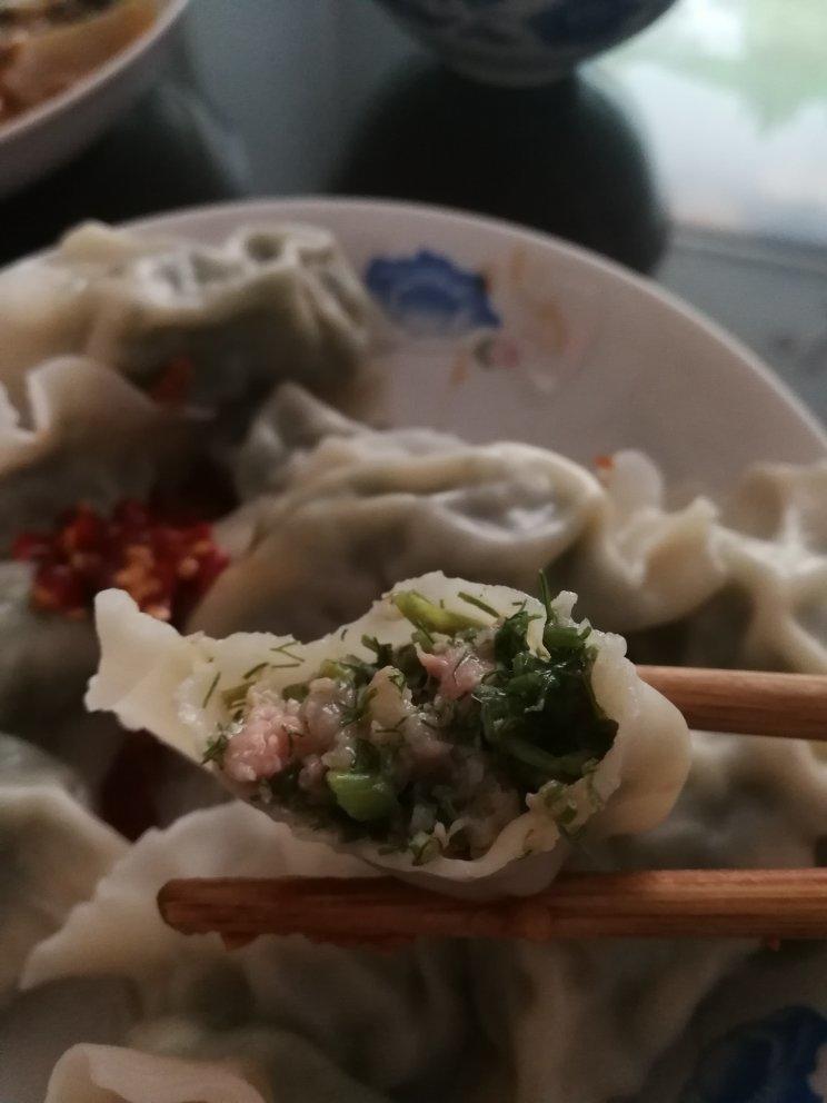 猪肉茴香饺子