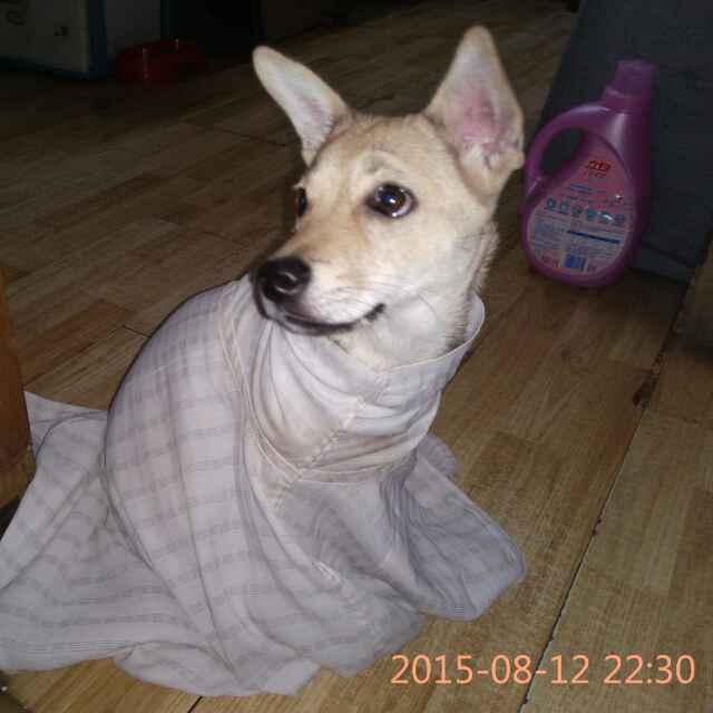 手机用户8653_eixj