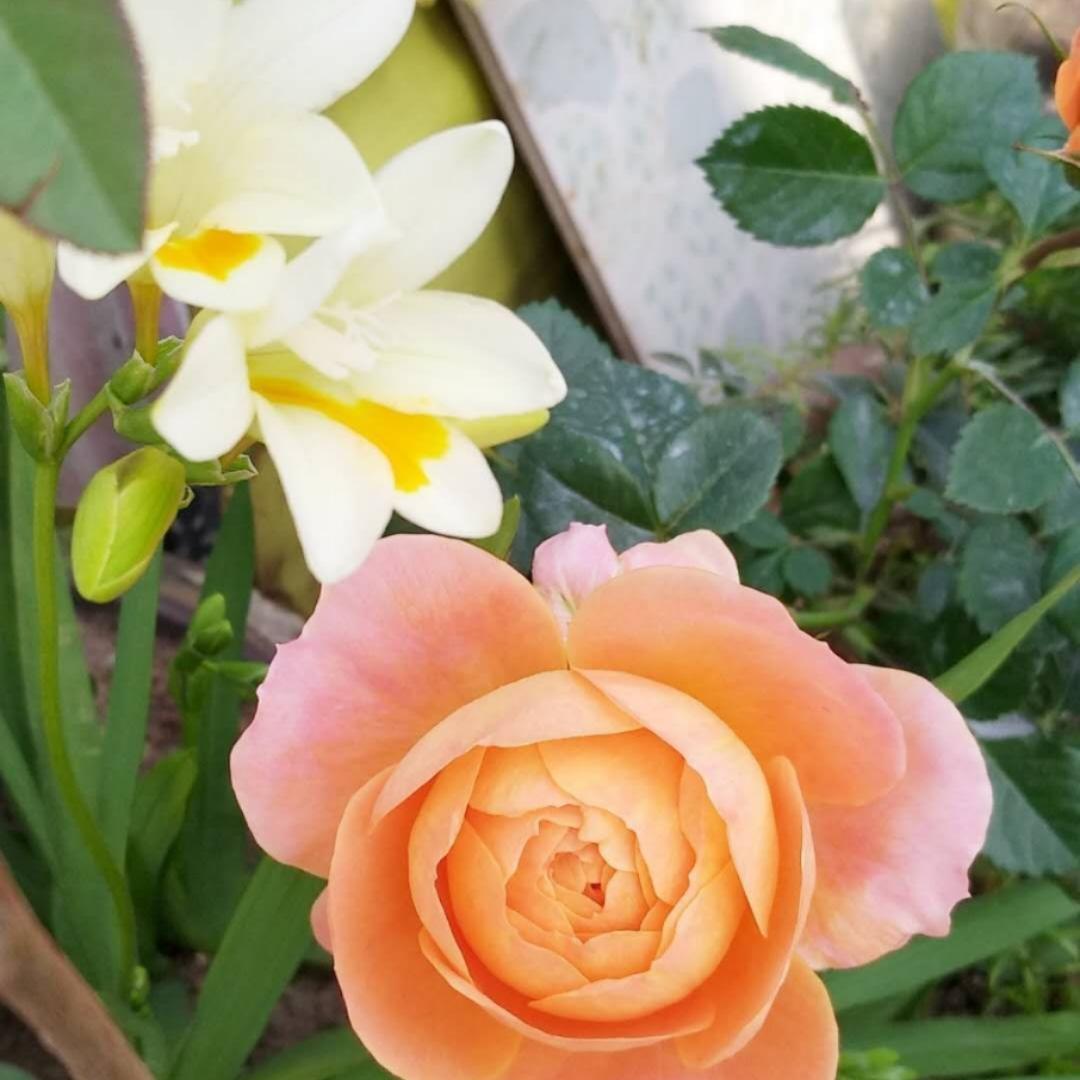 李大壮呀李大壮