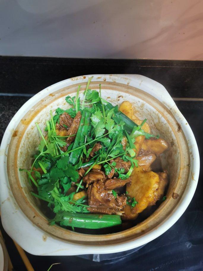 广式家常红烧鸽子