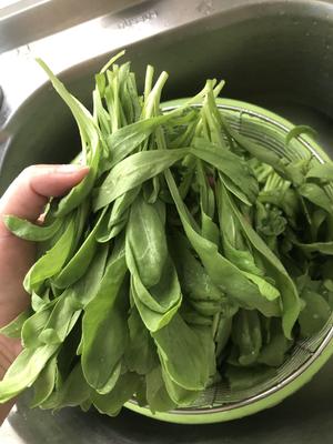 清炒迷你茼蒿的做法 步骤2