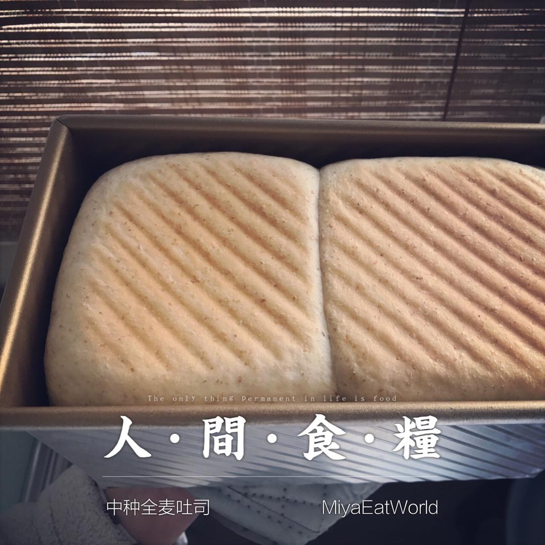 全麦吐司（中种）