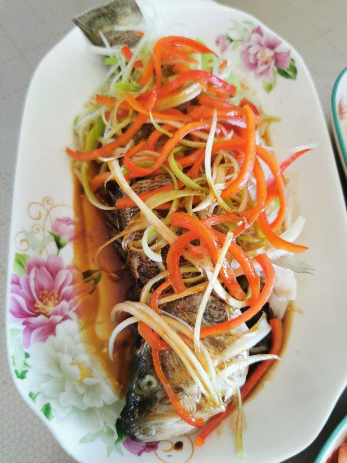 新手零失败的清蒸鲈鱼