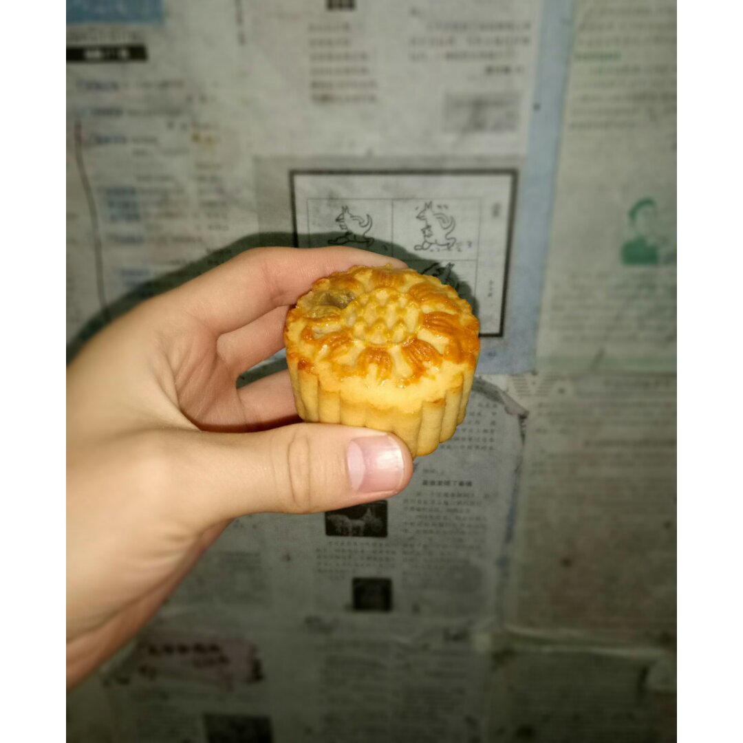 广式月饼——蛋黄莲蓉月饼