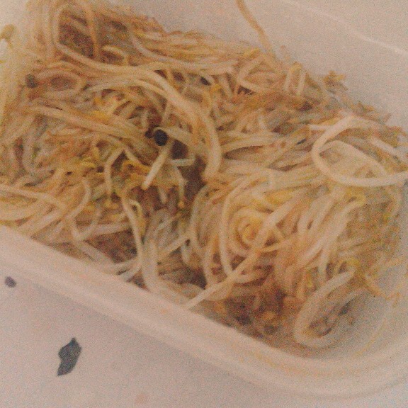 醋溜绿豆芽