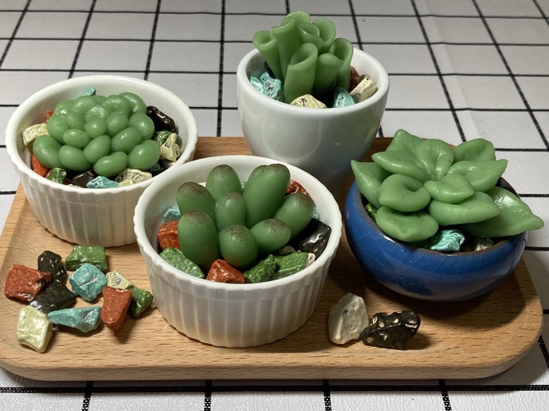 多肉（糯米简单版）