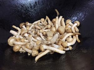 新鲜滑子菇煮肉片汤的做法 步骤7