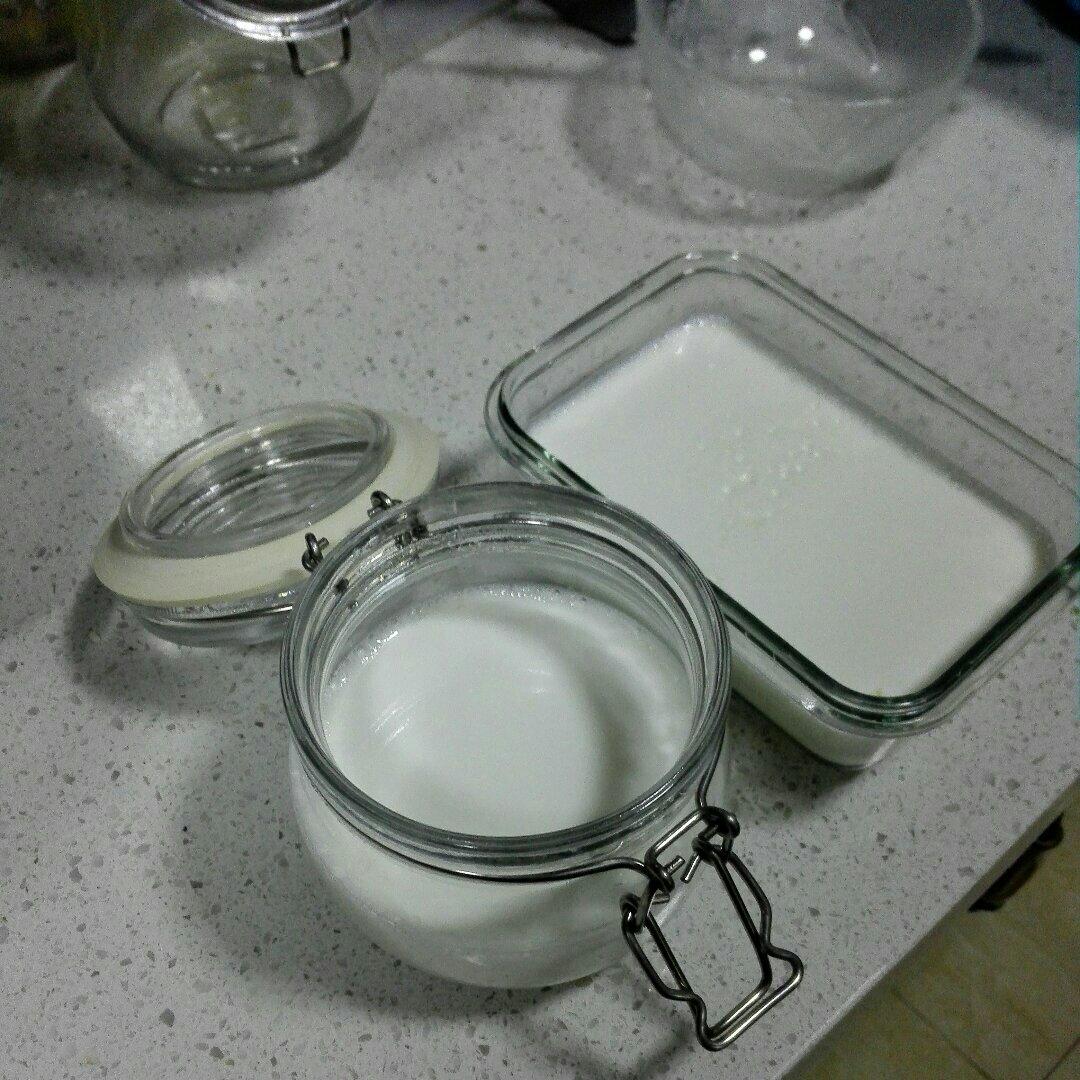烤箱自制酸奶  Homemade Greek Yoghurt