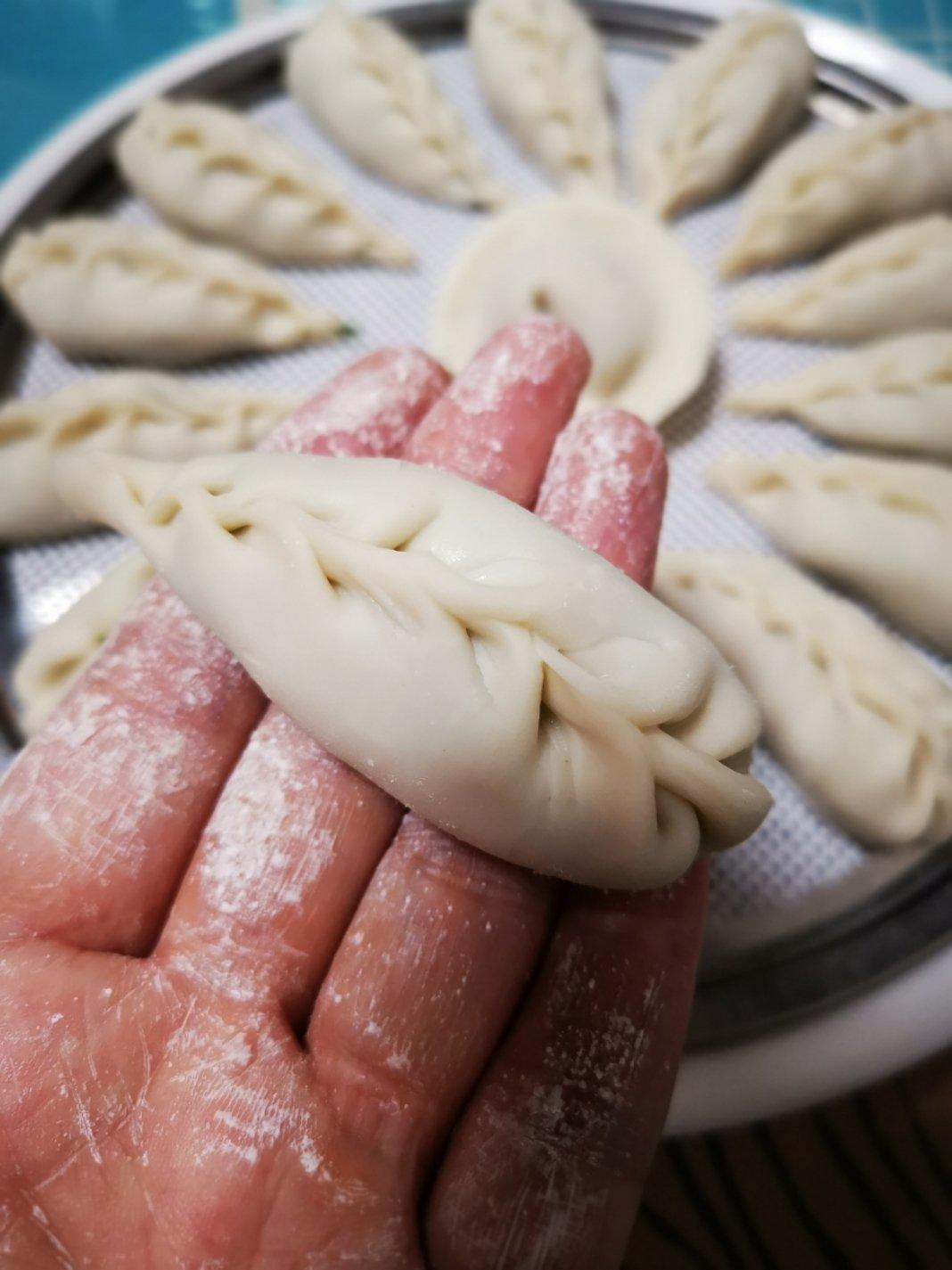 花样饺子包法视频