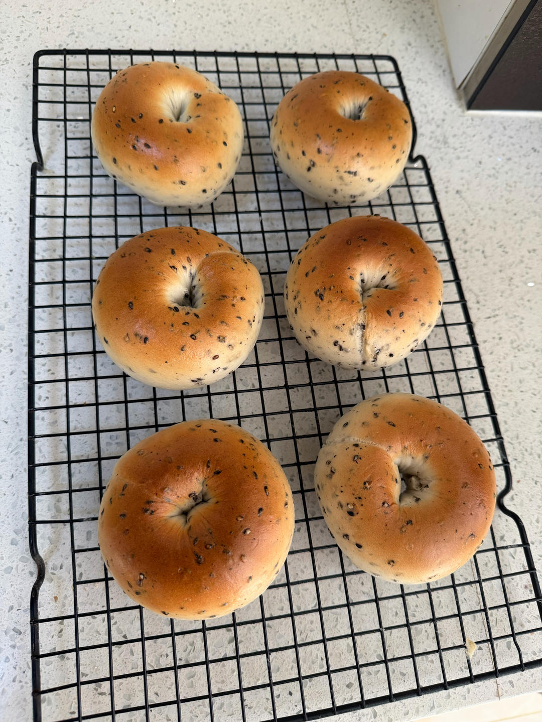 巨好用的贝果配方🔥无油低糖黑芝麻贝果