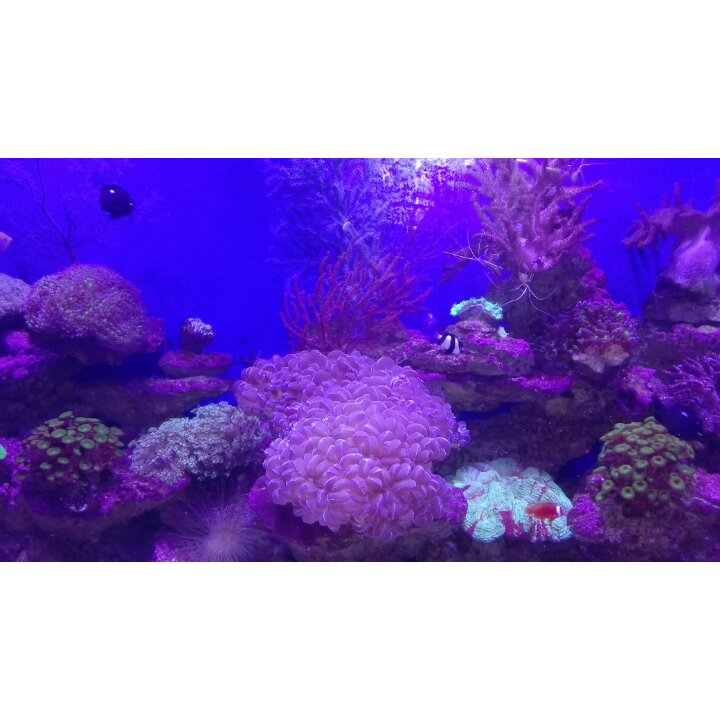 手机用户6976_v469