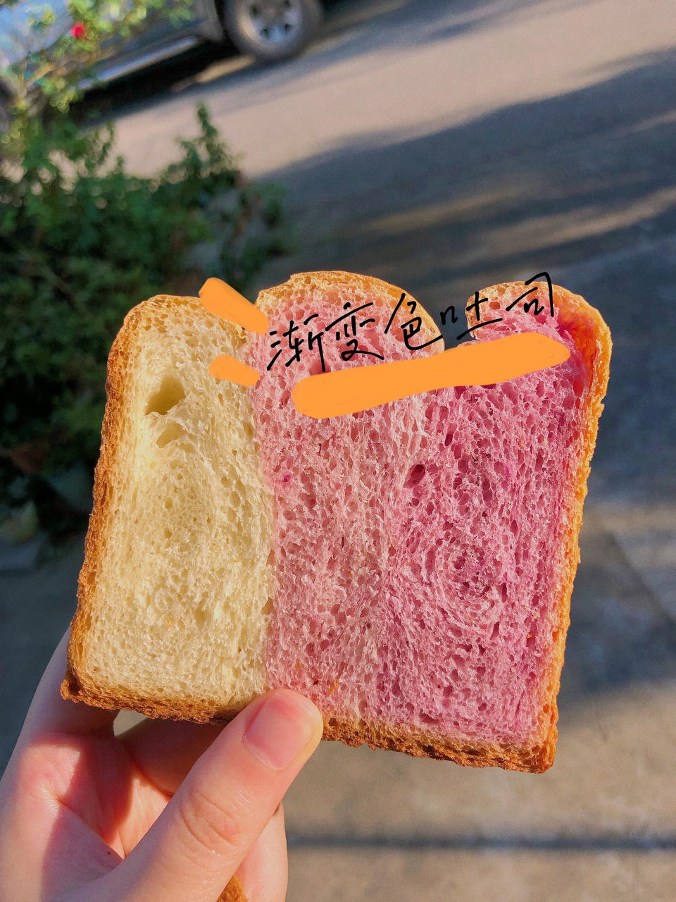 100个吐司🍞练习 No.12 渐变色紫薯吐司 颜值收割机美爆了