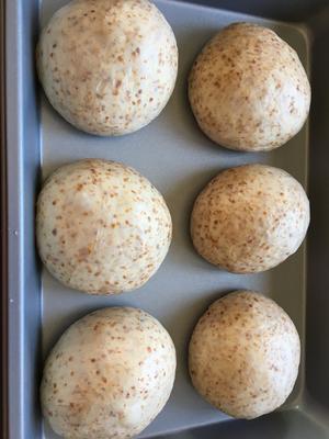 冷藏发酵中种法小麦胚芽庞多米吐司的做法 步骤5