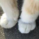 晏晏晏娜的厨房