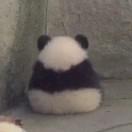 李倩_pzs0的厨房