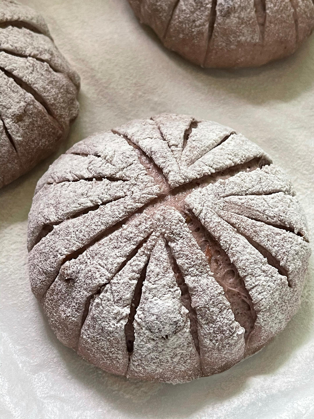 全麦红枣玫瑰软欧