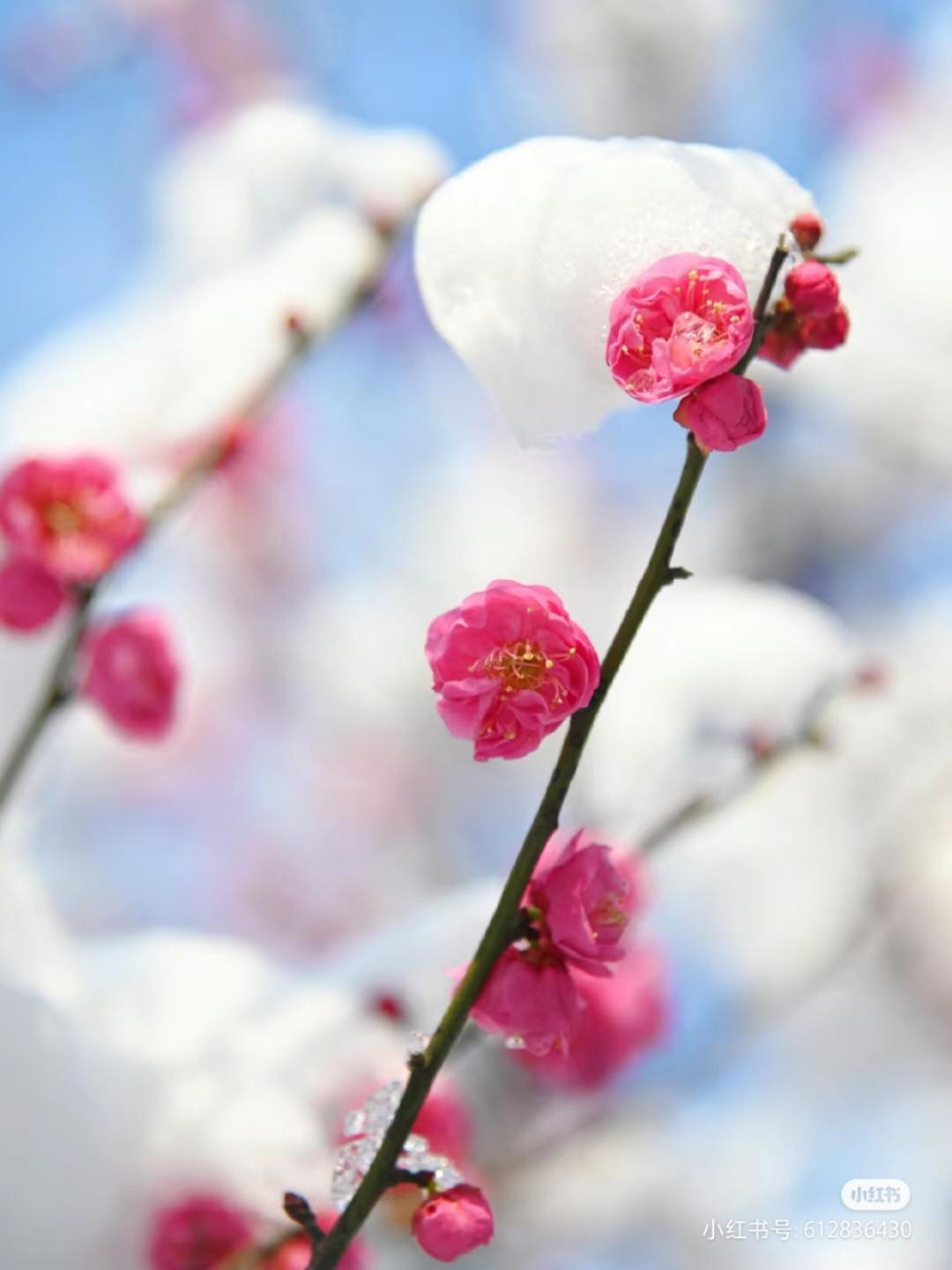 下厨房用户_07jwb