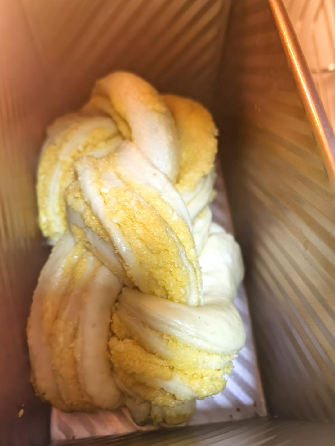 波兰种椰蓉吐司