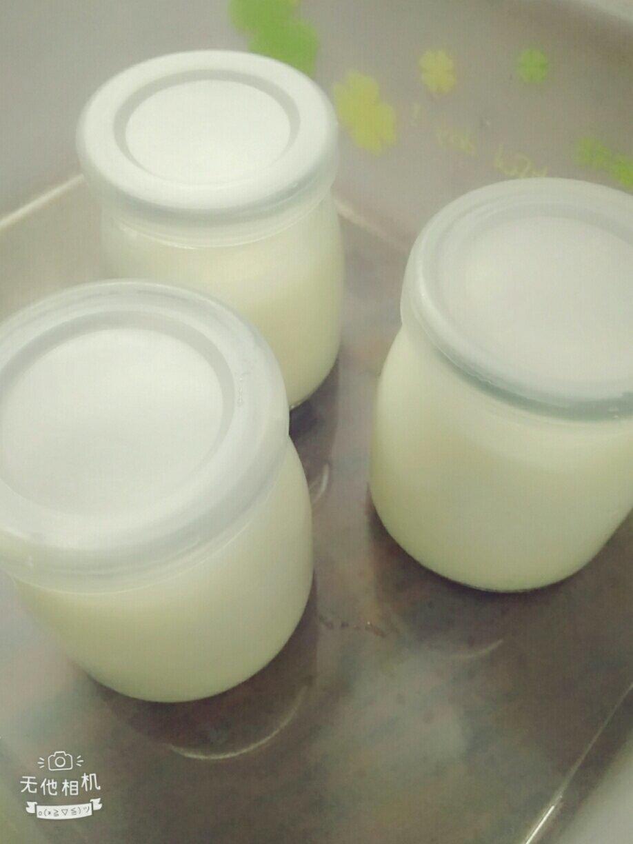 消耗蛋白的好办法--懒人版双皮奶做法