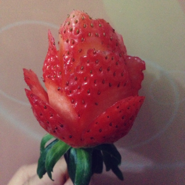 草莓玫瑰花