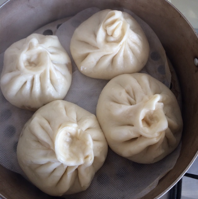 堂妈教你山菜鲜肉大包子