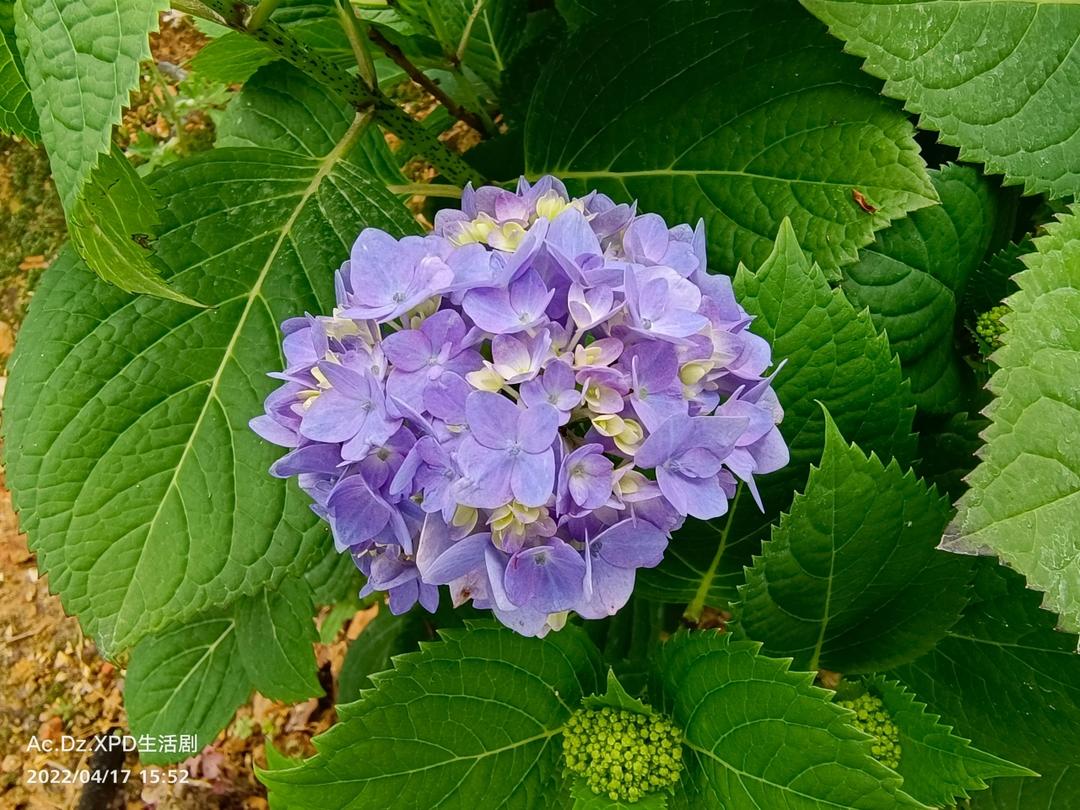 消逝的光年🌻【只为记述流逝的记忆】