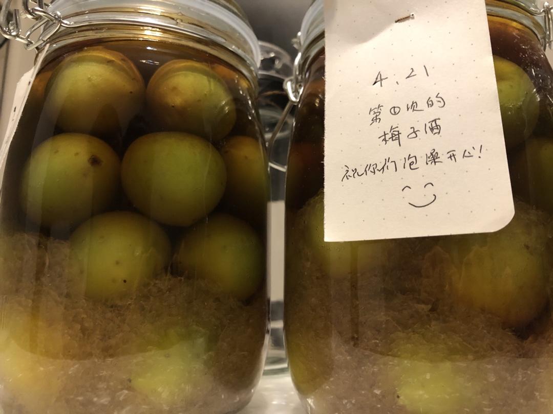 【青梅酒】梅子的沉醉时光（已填坑）