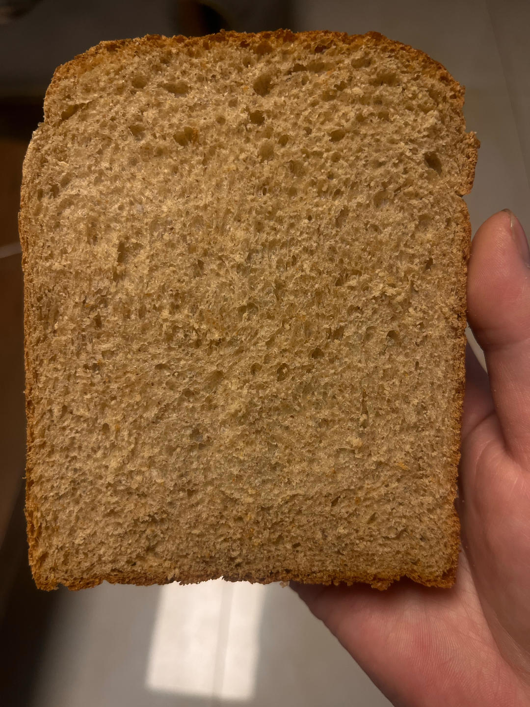 超柔软｜65度汤种｜全麦吐司｜目前为止吃过最好吃的全麦吐司没有之一