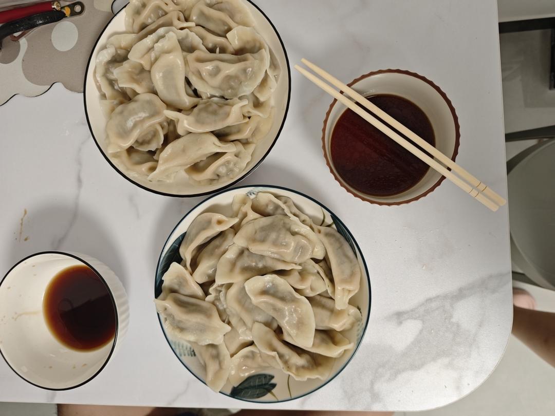 茴香猪肉馅儿饺子