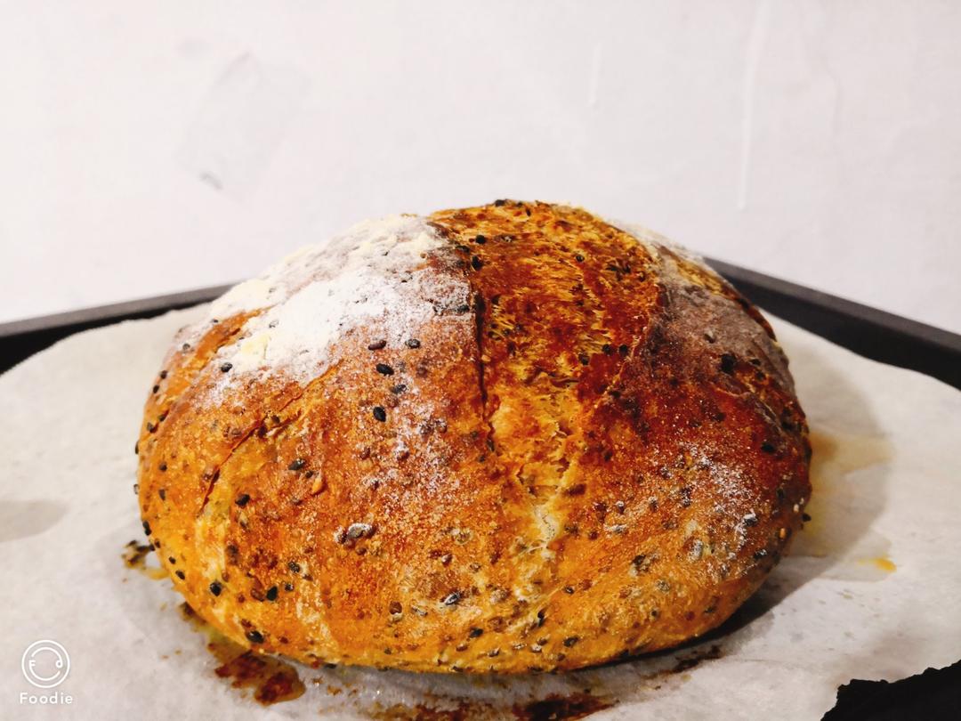 可爱的胖子——奇亚籽欧包