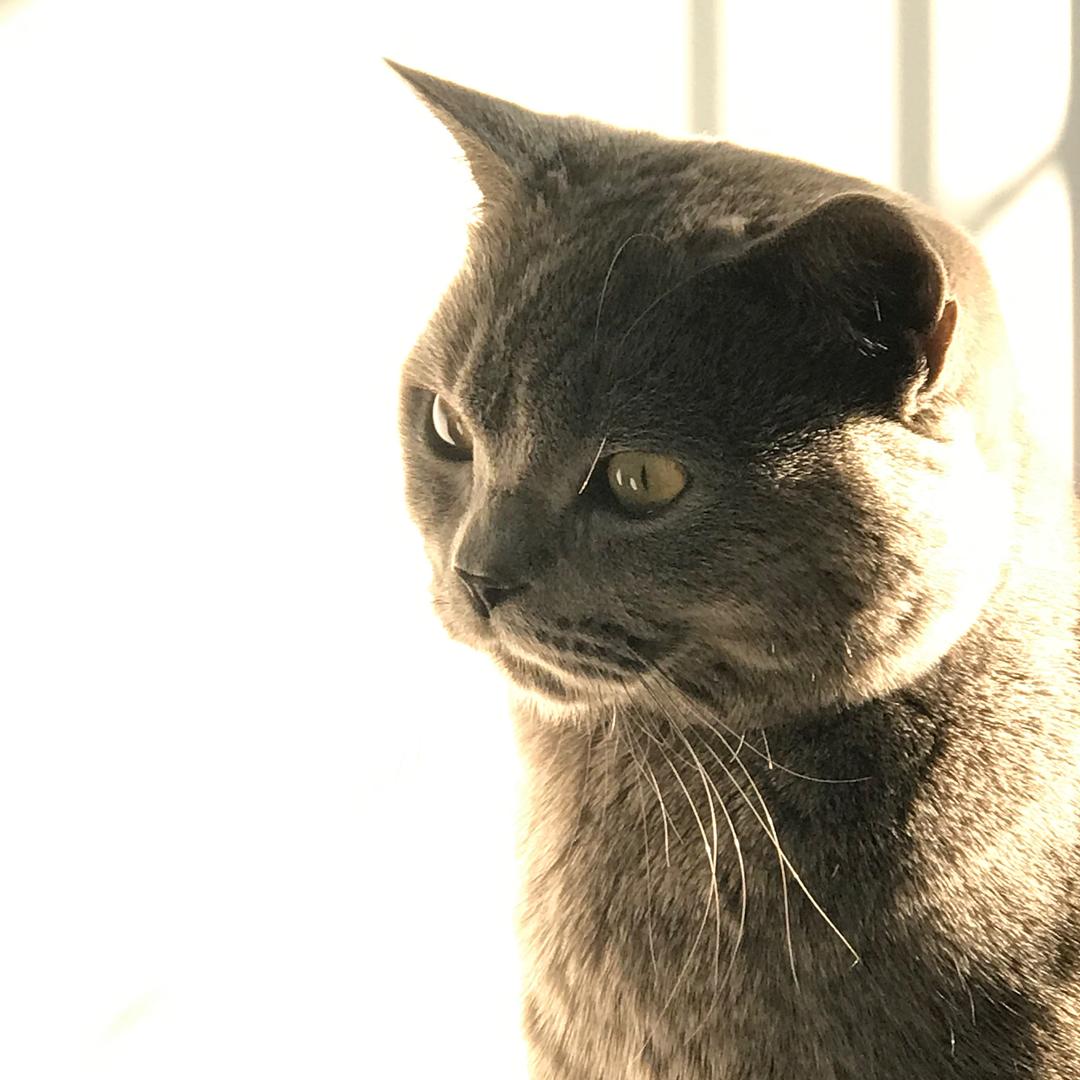 四川小妞爱做菜