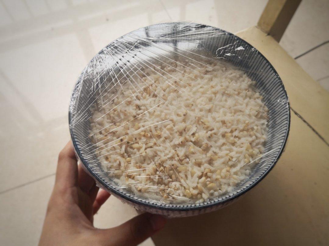 6分钟自制米酒【省事米酒最简易的打开方式】ヽ(•̀ω•́ )ゝ自制酒糟.醪糟.酒酿