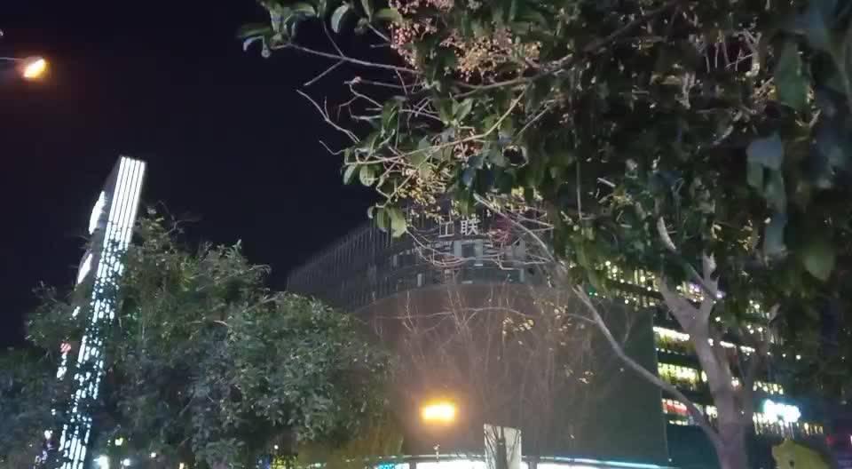 番茄汤饭的做法