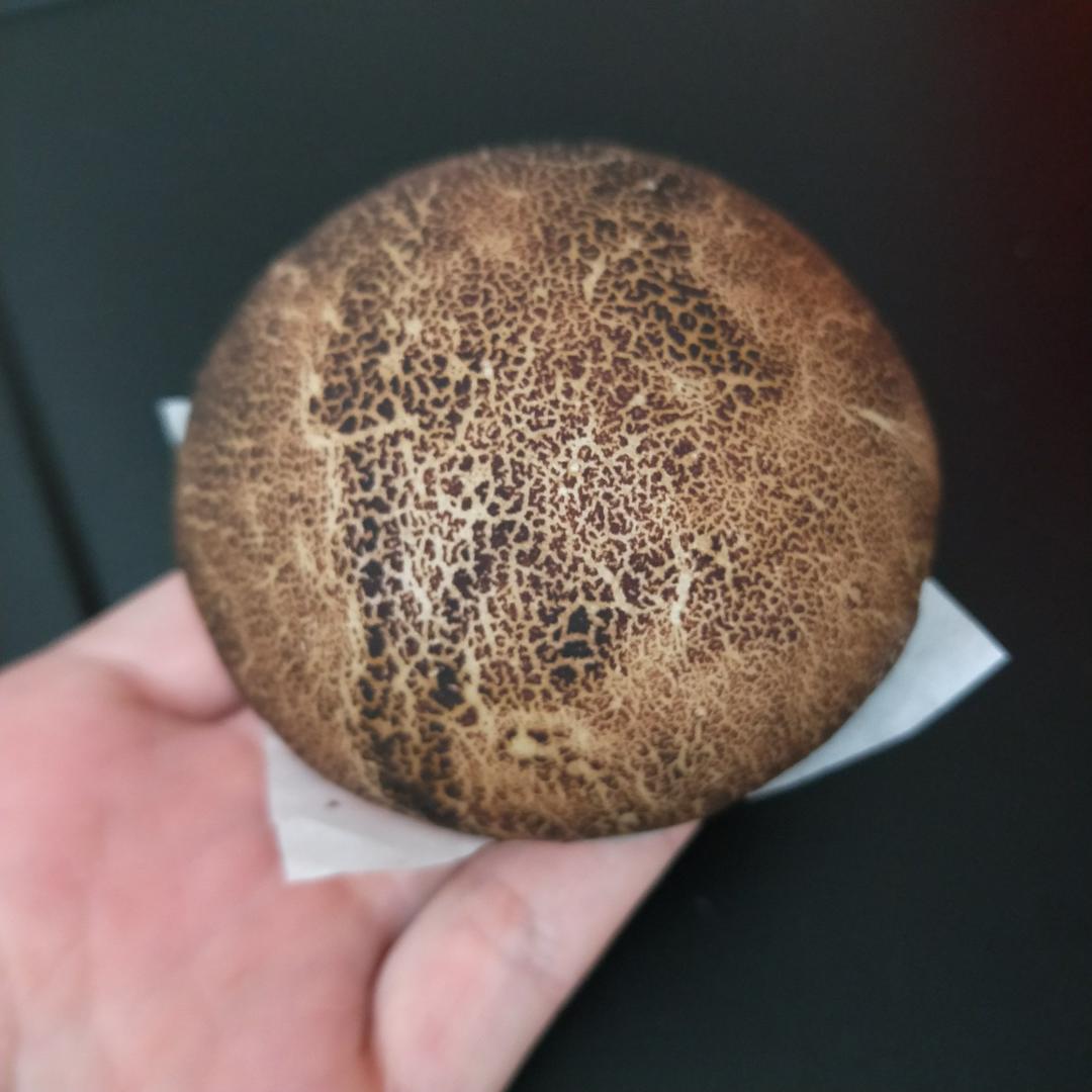 仿真香菇包