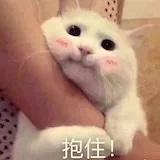 悠悠_小宝宝