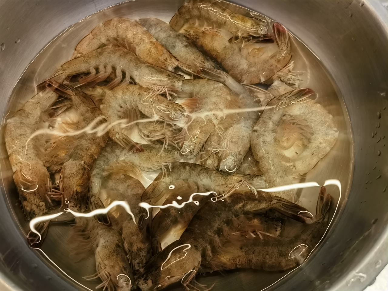 干锅麻辣虾（零失误）的做法 步骤1
