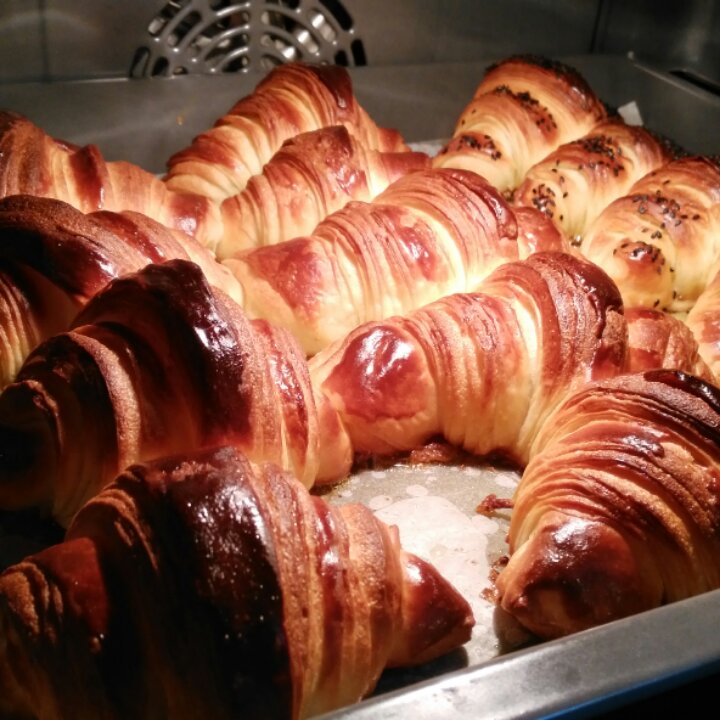 可颂—爱和自由