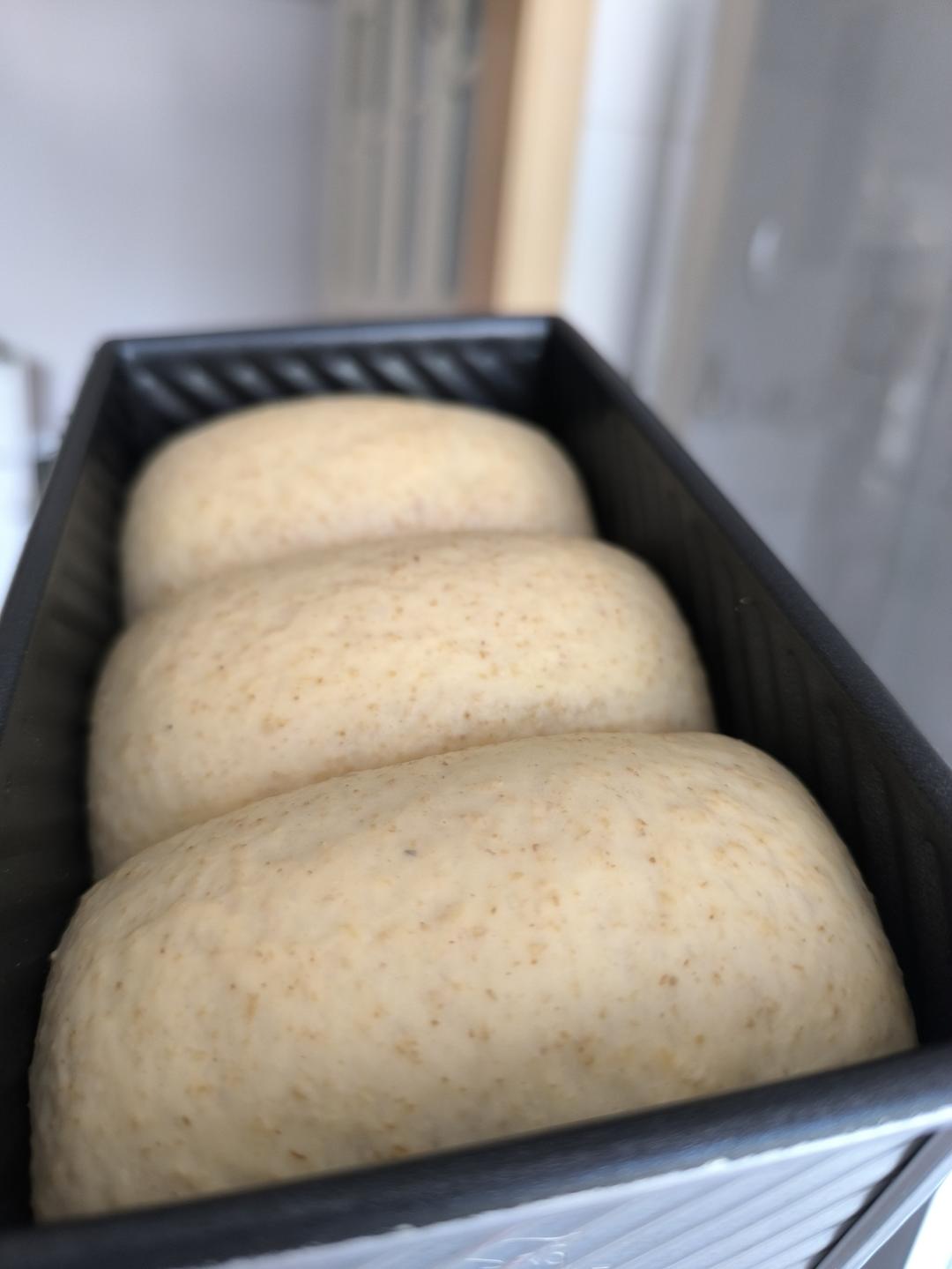 一发全麦吐司（低糖低油）