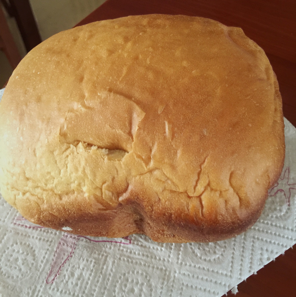 提子土司（柏翠面包机PE6280）自用方子