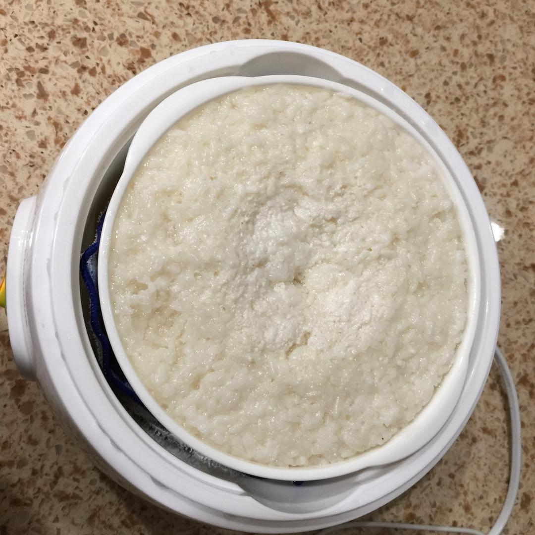 酒酿（酸奶机版）