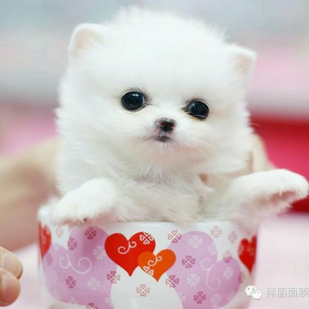 手机用户8889_lbg2