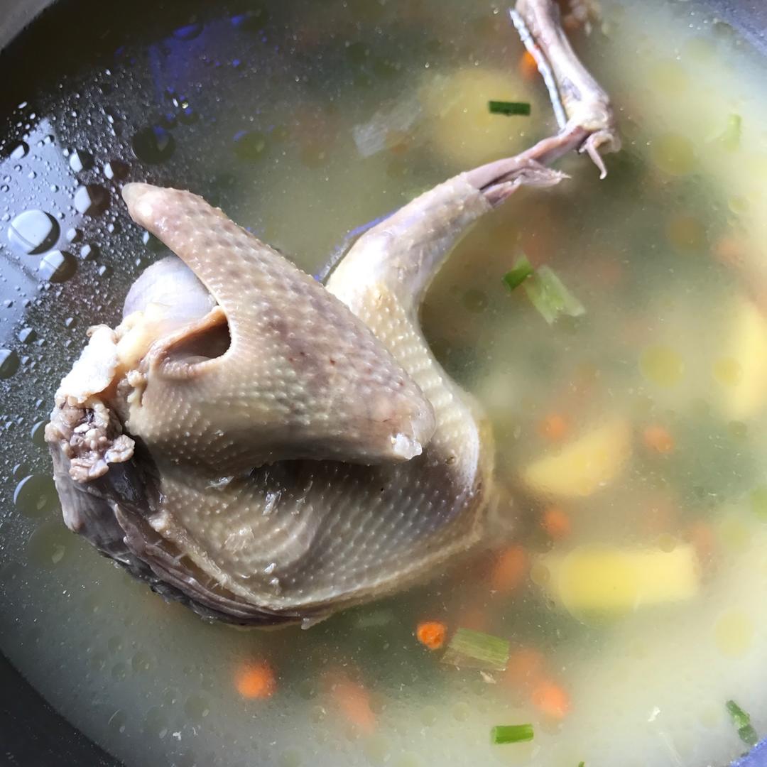 清炖鸽子汤