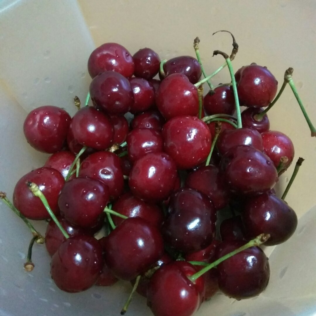 晚餐•2016年6月16日