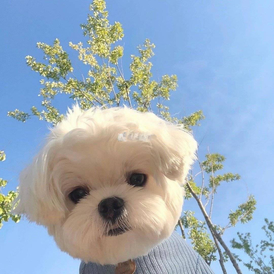 冰冰凉冰冰凉777