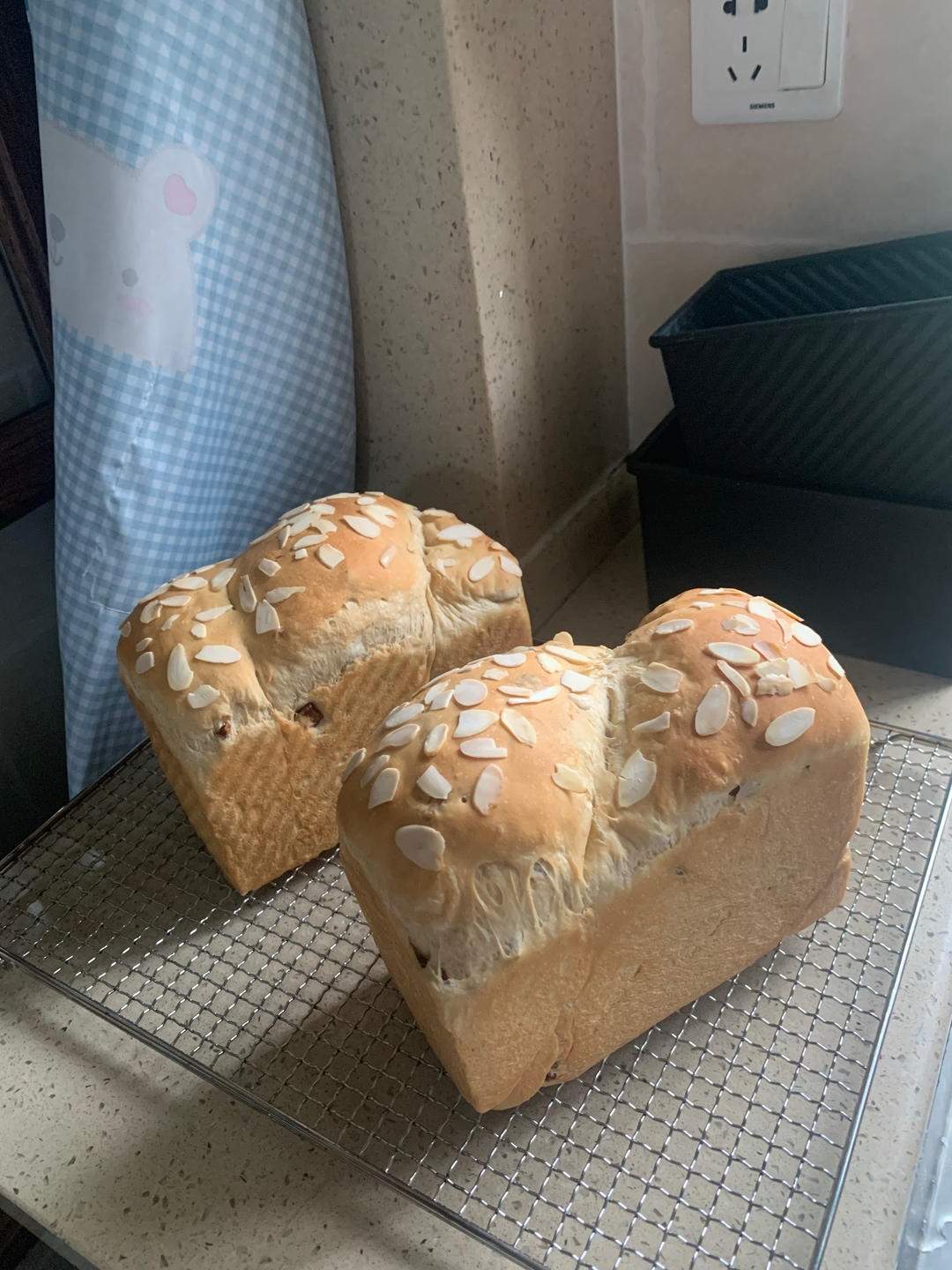 料多多红枣吐司