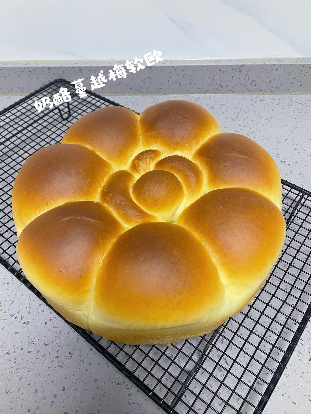 我的美食花儿鱼儿们~~O(∩_∩)O