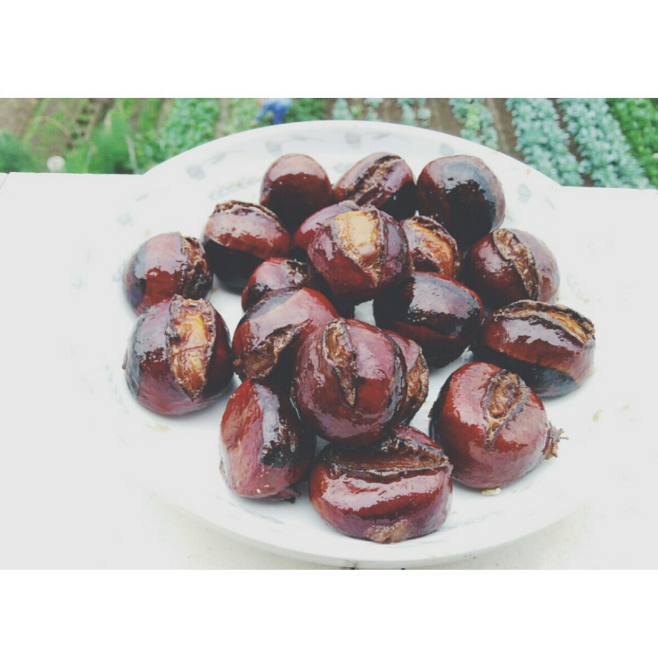 老饶家丨糖炒栗子