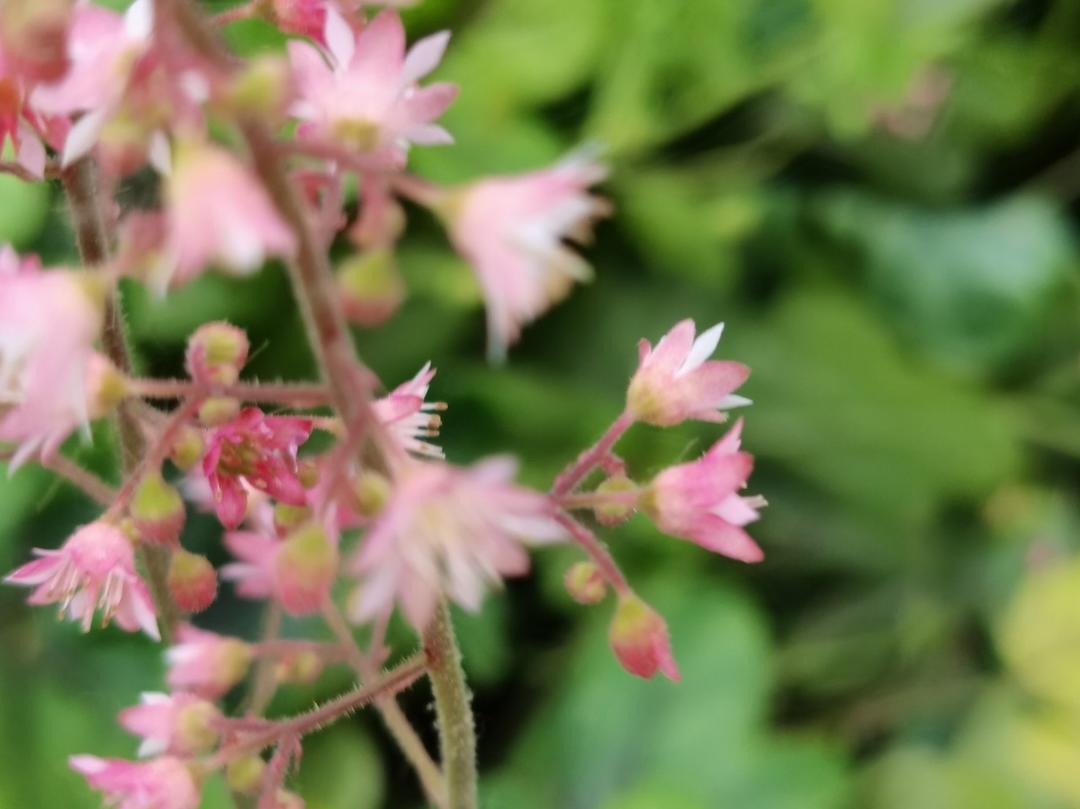 厨房杀手有点懵