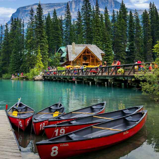 手机用户5160_fbjl