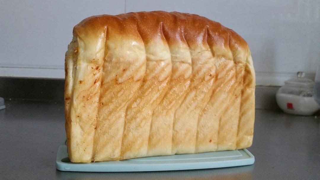 烘焙日记-肉松面包（冷藏中种）